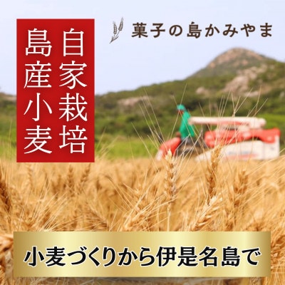 伊是名島産の自家製麦使用!いぜな島の香りをお届けする王様クッキー 4箱(1箱15枚)