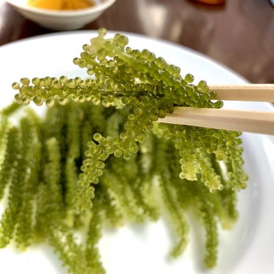 伊是名島そだちの塩水漬け海ぶどう60g×3袋