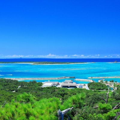 伊是名島を満喫!ファンダイビング利用券(1日3ダイブ)&宿泊券(1泊2日2食付き) 大人1名