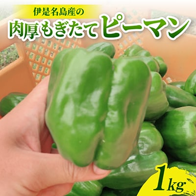 【2026年4月から順次発送】農家直送!伊是名島産の肉厚もぎたてピーマン1kg