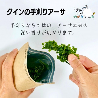 伊是名島産 グインの乾燥アーサ 10g×10P