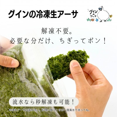 伊是名島産 グインの冷凍生アーサ 200g×3P