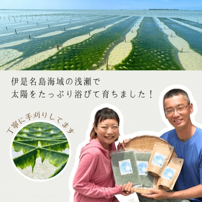伊是名島産 グインの冷凍生アーサ 200g×10P