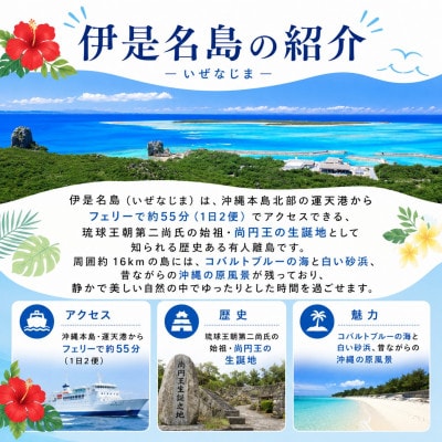 伊是名ブルーを体感 LUANAのSUP体験 大人1名様