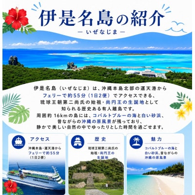 伊是名ブルーを体感 LUANAのSUP体験 大人1名様