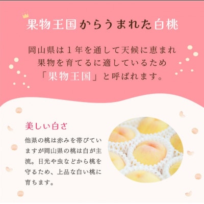 ももこのほっぺ4個入【021-a016】