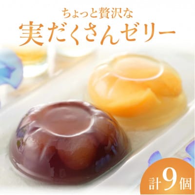 ちょっと贅沢な実だくさんゼリー9個入【021-a018】