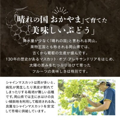 【先行予約】岡山県産シャインマスカット 1.0kg以上【9月上旬～10月下旬発送】