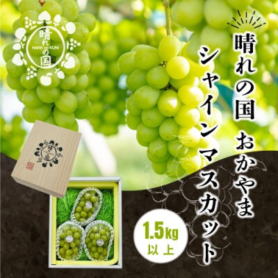 【先行予約】岡山県産シャインマスカット 1.5kg以上【9月上旬～10月下旬発送】