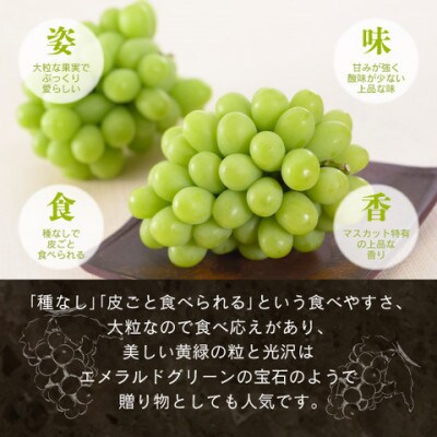 【先行予約】岡山県産シャインマスカット 1.5kg以上【9月上旬～10月下旬発送】