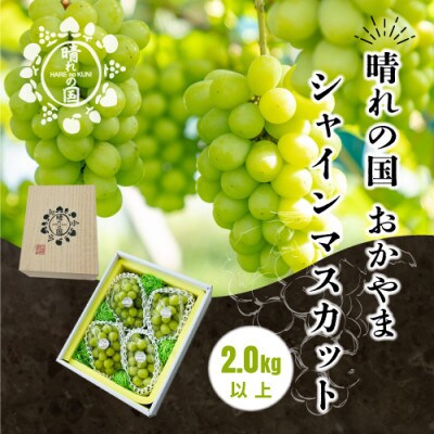 【先行予約】岡山県産シャインマスカット 2.0kg以上【9月上旬～10月下旬発送】