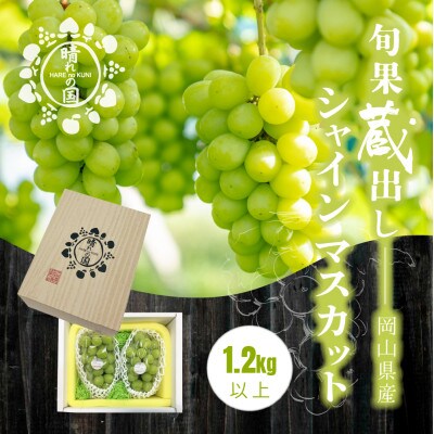 【先行予約】旬果蔵出し 岡山県産シャインマスカット 1.2kg以上【12月上旬～2027年1月発送】