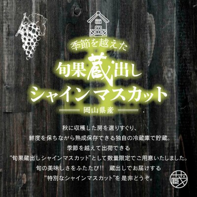 【先行予約】旬果蔵出し 岡山県産シャインマスカット 1.2kg以上【12月上旬～2027年1月発送】