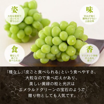 【先行予約】旬果蔵出し 岡山県産シャインマスカット 1.2kg以上【12月上旬～2027年1月発送】