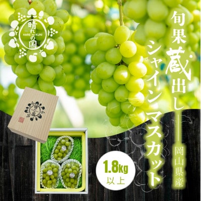 【先行予約】旬果蔵出し 岡山県産シャインマスカット 1.8kg以上【12月上旬～2027年1月発送】