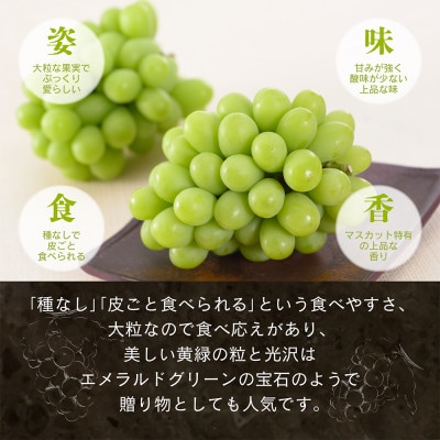 【先行予約】旬果蔵出し 岡山県産シャインマスカット 1.8kg以上【12月上旬～2027年1月発送】
