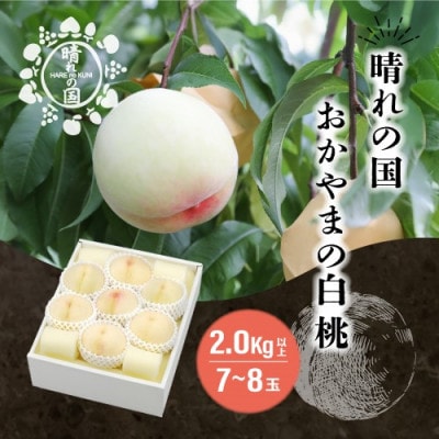 【先行予約】晴れの国おかやま 白桃 2.0kg【8月中旬～9月上旬発送】