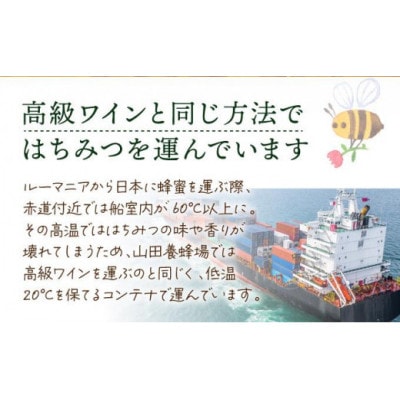 山田養蜂場ルーマニア産アカシア蜂蜜200g(ビン入り)×2個(64268)