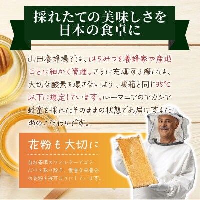 山田養蜂場ルーマニア産アカシア蜂蜜200g(ビン入り)×2個(64268)