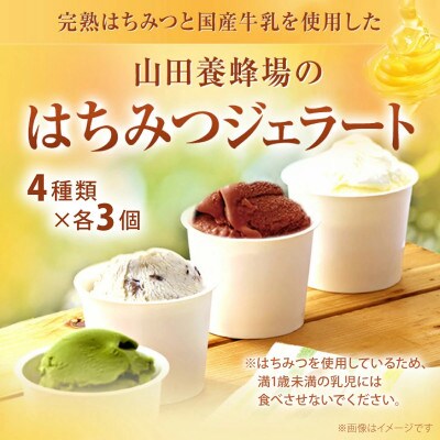 山田養蜂場のはちみつジェラート12個入(26590)