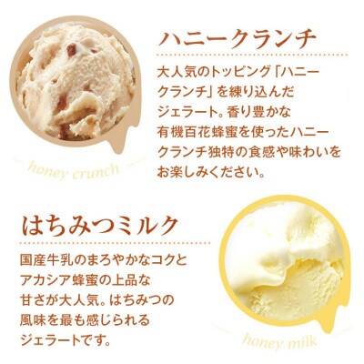 山田養蜂場のはちみつジェラート12個入(26590)