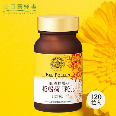 花粉荷[粒](11405)