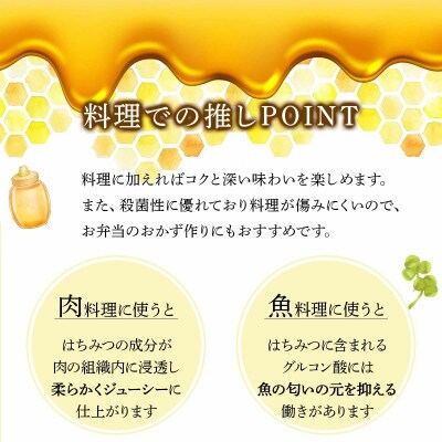山田養蜂場 里山の百花蜂蜜300g(プラ容器入)×3本 (64253)