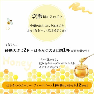 山田養蜂場 里山の百花蜂蜜300g(プラ容器入)×3本 (64253)