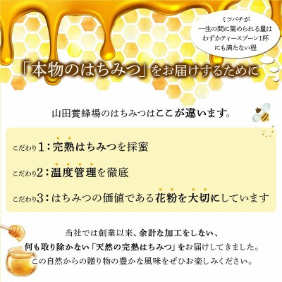 山田養蜂場 里山の百花蜂蜜300g(プラ容器入)×3本 (64253)