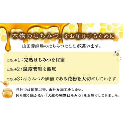 山田養蜂場 里山の百花蜂蜜300g(プラ容器入)×2本 (64231)