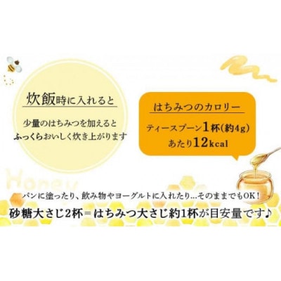 山田養蜂場 里山の百花蜂蜜300g(プラ容器入)×1本 (3643)