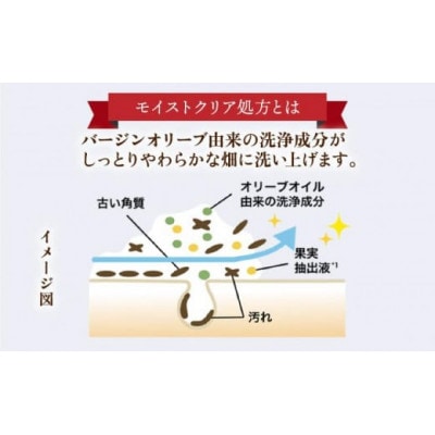 RJブーストクレンズ スキンケアソープ(07025)