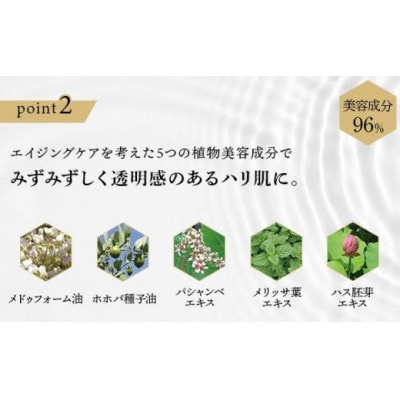 RJブーストクレンズ クレンジングマルチジェル(07019)