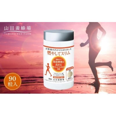 【毎月定期便】燃やしてスリム(28130)全12回