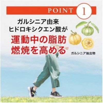 【毎月定期便】燃やしてスリム(28130)全12回