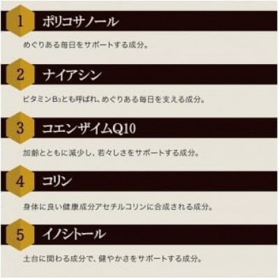 【毎月定期便】酵素パワー蜂の子ゴールド(01108)全3回