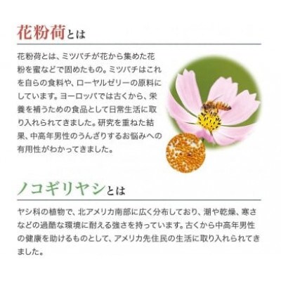 【毎月定期便】Zn立Bee(33353)全3回