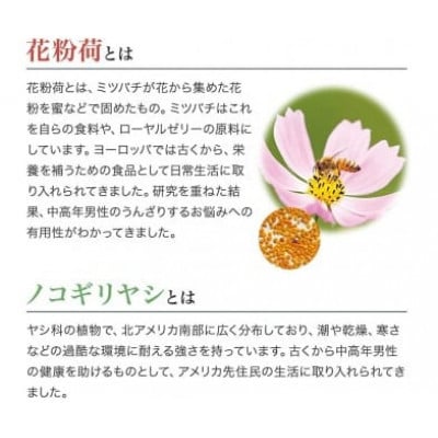 【毎月定期便】Zn立Bee(33353)全12回