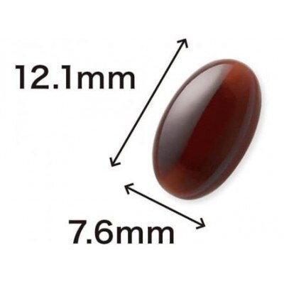 【毎月定期便】Zn立Bee(33353)全12回