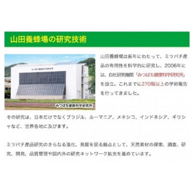 【毎月定期便】ノンアルツ Bee 90球入(01007)全3回