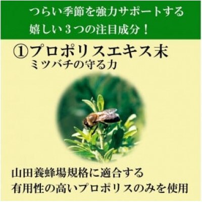 【毎月定期便】花粉ケアEX(11177)全3回