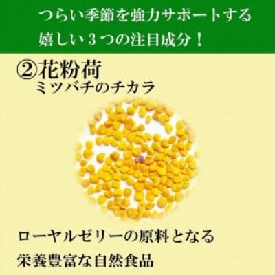 【毎月定期便】花粉ケアEX(11177)全3回