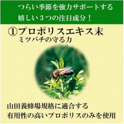 【毎月定期便】花粉ケアEX(11177)全6回