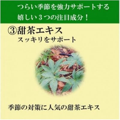 【毎月定期便】花粉ケアEX(11177)全12回