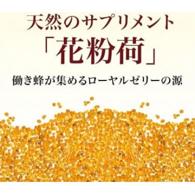 【毎月定期便】花粉荷[粒](11405)全6回