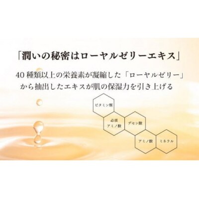 【毎月定期便】RJクリームN《保湿クリーム》(7033)全6回