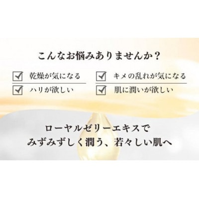 【毎月定期便】RJクリームS しっとり《保湿クリーム》(7092)全3回