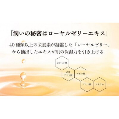 【毎月定期便】薬用RJエッセンス《美白美容液》(7022)全6回