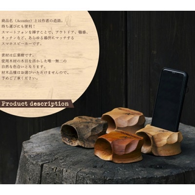 アコーダーライト(Acouder-Lite)