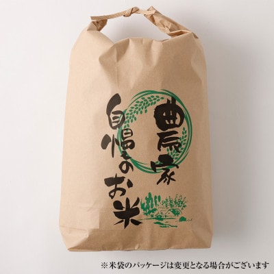 令和7年産 鏡野町産 きぬむすめ 精米10kg